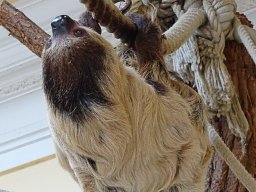 Tiergarten Schönbrunn am 23.03.2023